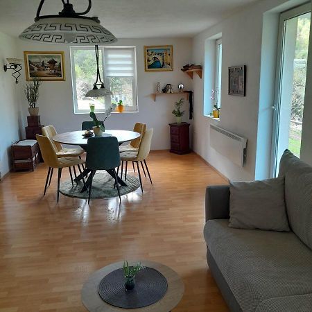 Nice Apartment Near By Capital Of Slovenia 卢布尔雅那 外观 照片