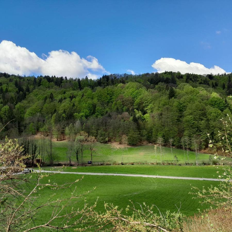 Nice Apartment Near By Capital Of Slovenia 卢布尔雅那 外观 照片
