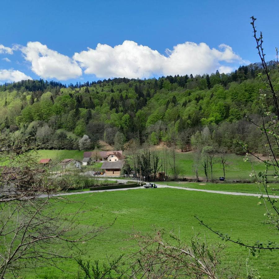 Nice Apartment Near By Capital Of Slovenia 卢布尔雅那 外观 照片